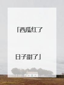 西瓜红了 日子甜了