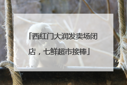 西红门大润发卖场闭店，七鲜超市接棒