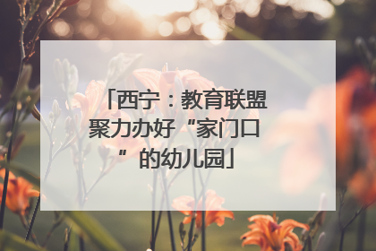 西宁：教育联盟聚力办好“家门口”的幼儿园