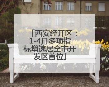 西安经开区：1-4月多项指标增速居全市开发区首位