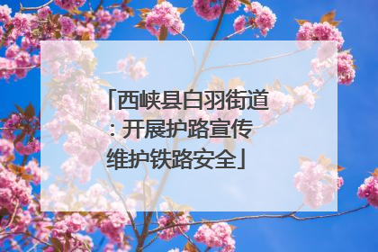 西峡县白羽街道：开展护路宣传 维护铁路安全