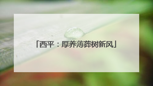 西平：厚养薄葬树新风