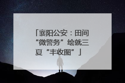 襄阳公安：田间“微警务”绘就三夏“丰收图”