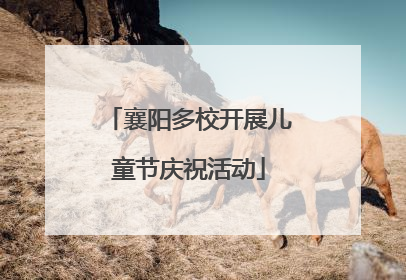 襄阳多校开展儿童节庆祝活动