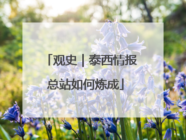 观史｜泰西情报总站如何炼成