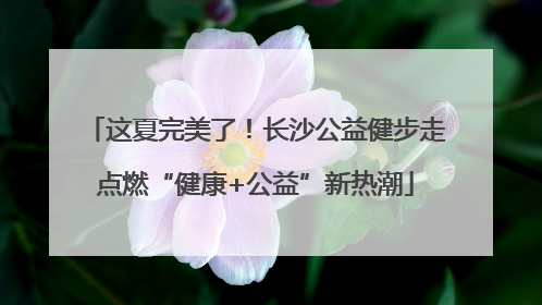 这夏完美了！长沙公益健步走点燃“健康+公益”新热潮
