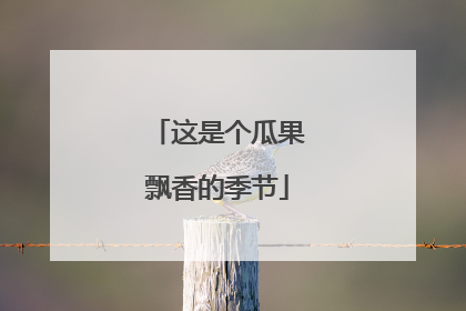 这是个瓜果飘香的季节