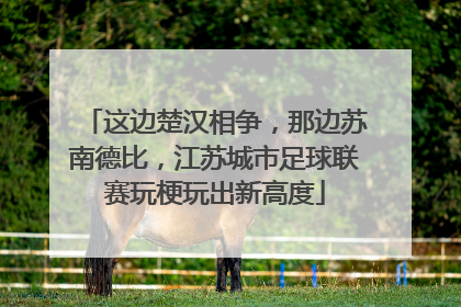 这边楚汉相争，那边苏南德比，江苏城市足球联赛玩梗玩出新高度