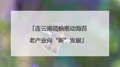 连云港赣榆推动海苔老产业向“新”发展