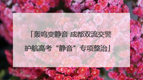 轰鸣变静音 成都双流交警护航高考“静音”专项整治