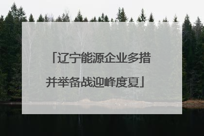 辽宁能源企业多措并举备战迎峰度夏