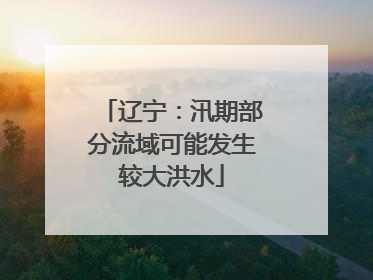 辽宁：汛期部分流域可能发生较大洪水