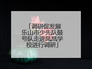 调研促发展 乐山市少先队鼓号队走进凤凰学校进行调研
