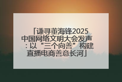 谦寻董海锋2025中国网络文明大会发声：以“三个向善”构建直播电商善意长河