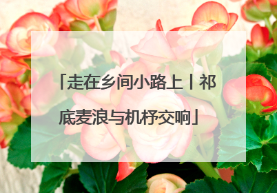 走在乡间小路上丨祁底麦浪与机杼交响