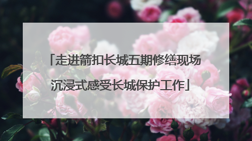 走进箭扣长城五期修缮现场 沉浸式感受长城保护工作