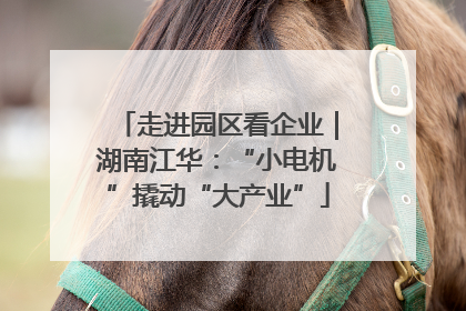 走进园区看企业｜湖南江华：“小电机”撬动“大产业”