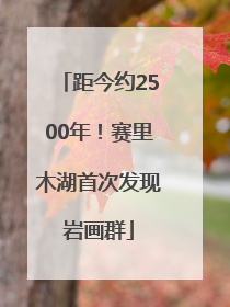 距今约2500年！赛里木湖首次发现岩画群