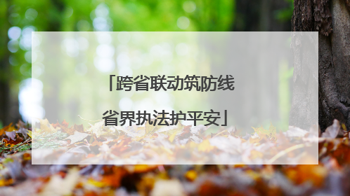 跨省联动筑防线 省界执法护平安