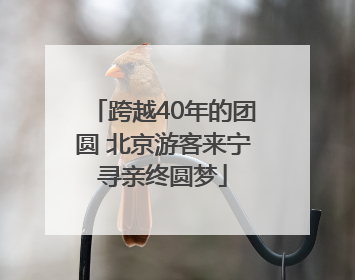 跨越40年的团圆 北京游客来宁寻亲终圆梦