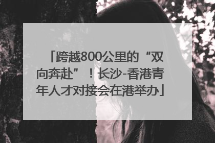 跨越800公里的“双向奔赴”！长沙-香港青年人才对接会在港举办