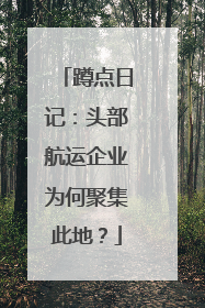 蹲点日记：头部航运企业为何聚集此地？