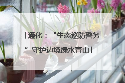 通化：“生态巡防警务”守护边境绿水青山