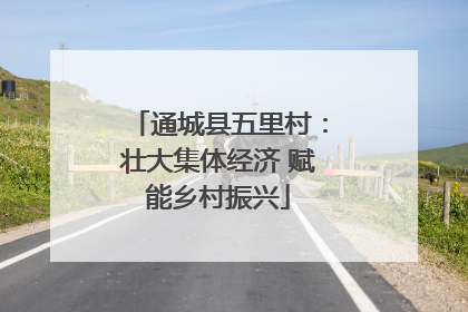 通城县五里村：壮大集体经济 赋能乡村振兴