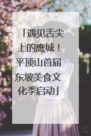 遇见舌尖上的鹰城！平顶山首届东坡美食文化季启动