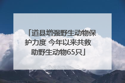 道县增强野生动物保护力度 今年以来共救助野生动物65只