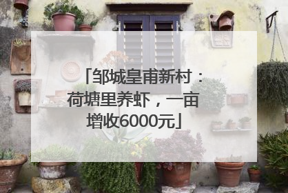 邹城皇甫新村：荷塘里养虾，一亩增收6000元