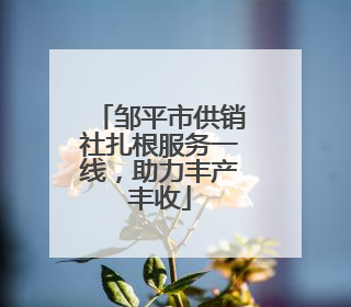邹平市供销社扎根服务一线，助力丰产丰收