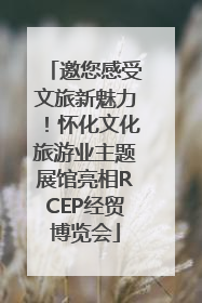 邀您感受文旅新魅力！怀化文化旅游业主题展馆亮相RCEP经贸博览会