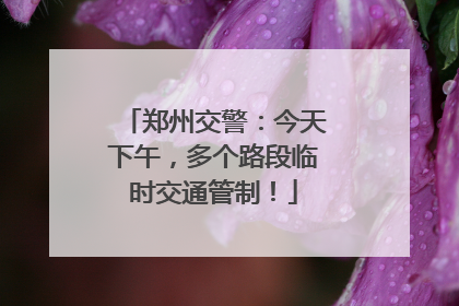 郑州交警：今天下午，多个路段临时交通管制！