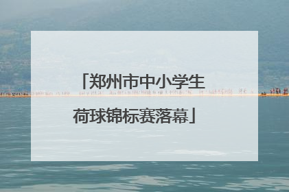 郑州市中小学生荷球锦标赛落幕
