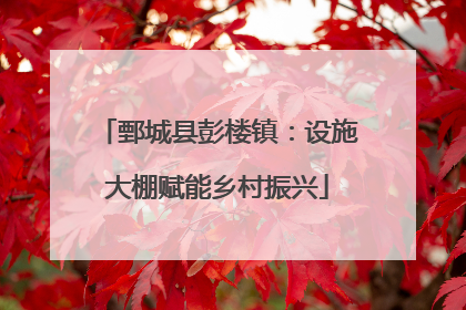 鄄城县彭楼镇：设施大棚赋能乡村振兴