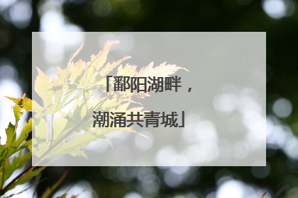 鄱阳湖畔，潮涌共青城