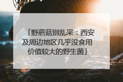 野蘑菇别乱采：西安及周边地区几乎没食用价值较大的野生菌