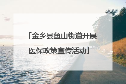 金乡县鱼山街道开展医保政策宣传活动