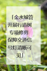 金水城管开展行道树专项修剪 保障交通信号灯清晰可见