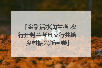 金融活水润兰考 农行开封兰考县支行共绘乡村振兴新画卷