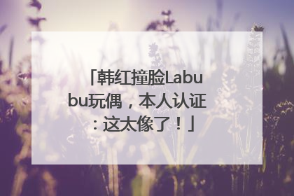 韩红撞脸Labubu玩偶，本人认证：这太像了！