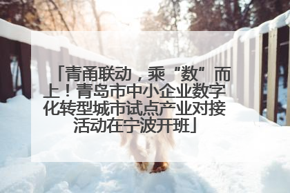 青甬联动，乘“数”而上！青岛市中小企业数字化转型城市试点产业对接活动在宁波开班