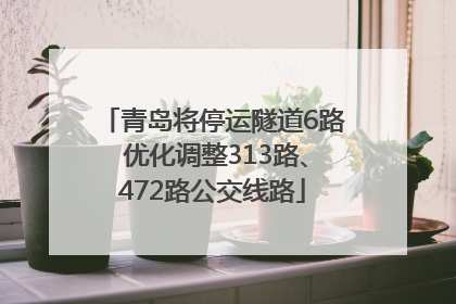 青岛将停运隧道6路 优化调整313路、472路公交线路