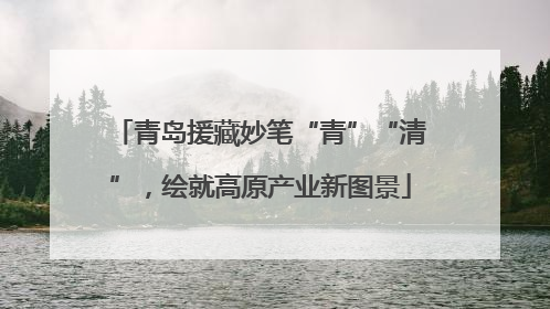 青岛援藏妙笔“青”“清”，绘就高原产业新图景