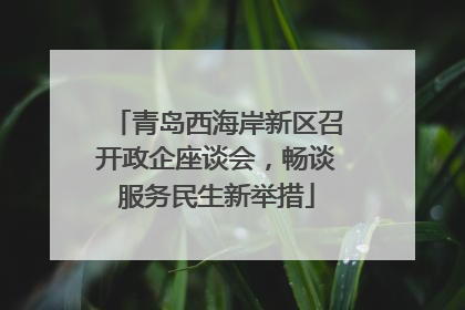 青岛西海岸新区召开政企座谈会，畅谈服务民生新举措