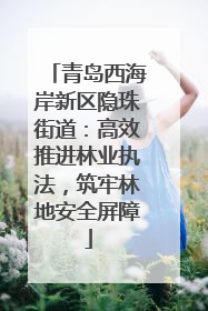 青岛西海岸新区隐珠街道：高效推进林业执法，筑牢林地安全屏障