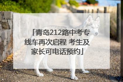青岛212路中考专线车再次启程 考生及家长可电话预约