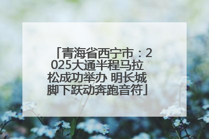 青海省西宁市：2025大通半程马拉松成功举办 明长城脚下跃动奔跑音符