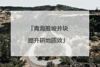 青海推坡并块提升耕地质效
